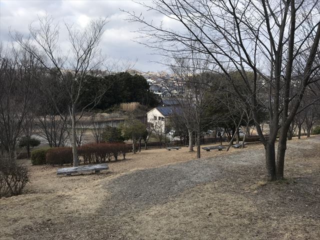 大渕池公園西地区、丘からの眺め