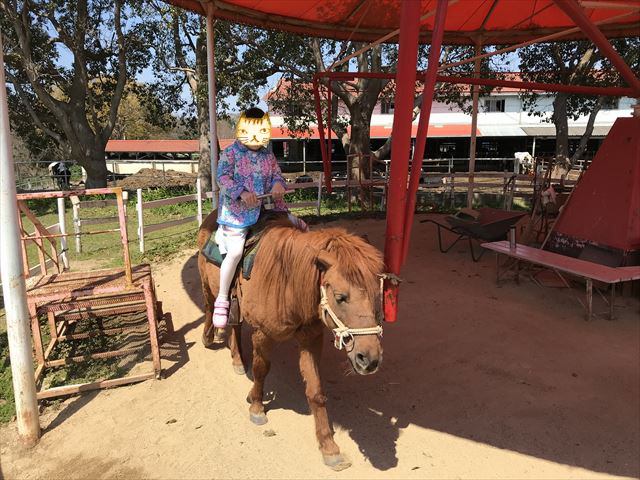 淡路島牧場のポニー乗馬体験中