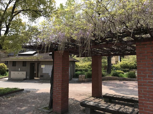 城北公園「遊具の丘ゾーン」藤棚とトイレ