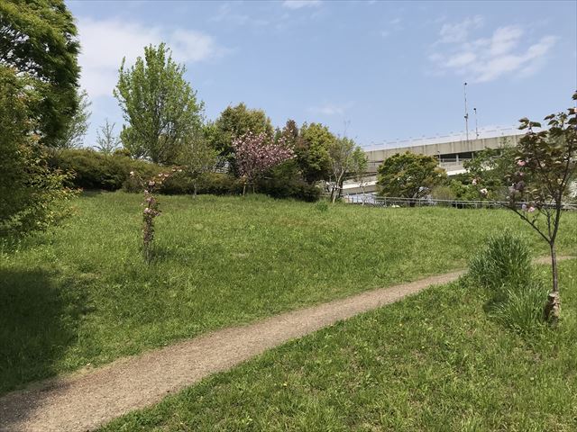 城北公園、淀川に行ける丘