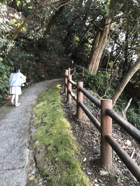 洲本城（三熊山）登山中の道