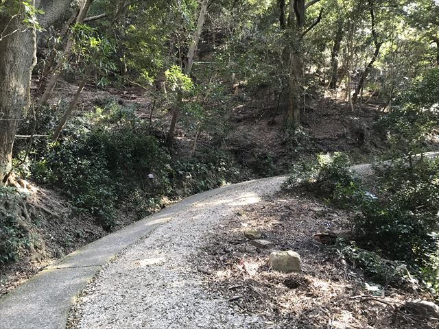 洲本城（三熊山）登山中の道