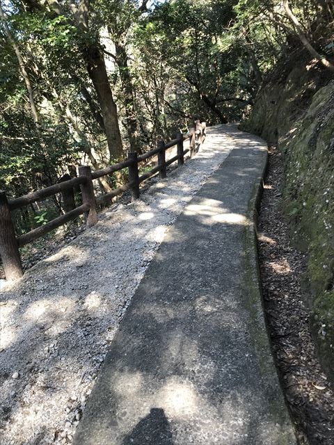 洲本城（三熊山）登山中の道