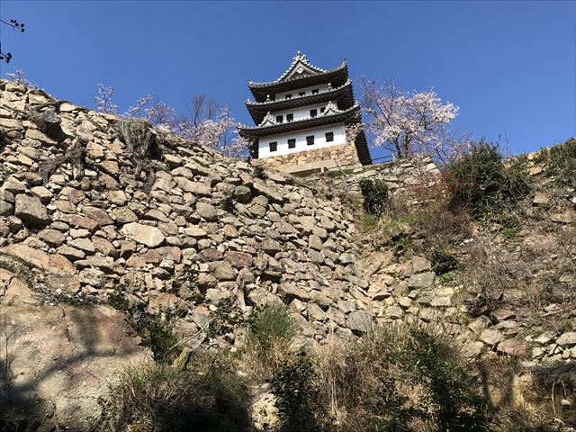 登山途中に洲本城跡が見える