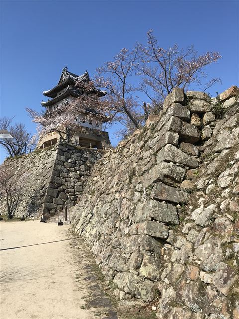 洲本城と石垣