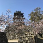 洲本城（三熊山）山頂と桜