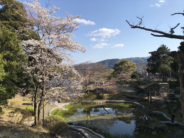 洲本城（三熊山）日月池