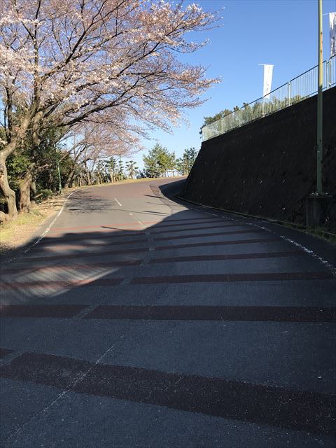 洲本城（三熊山）に車で向かう時の道