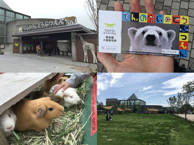 天王寺動物園の4枚の写真（入口、入園券、テンジクネズミ［モルモット］、てんしば）