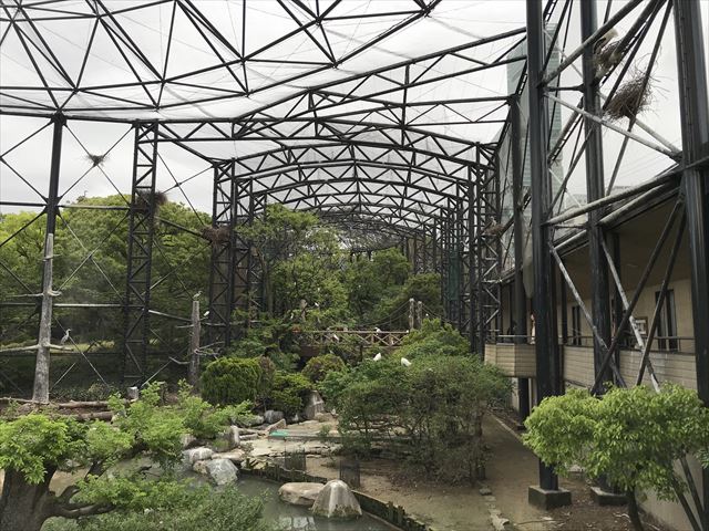 天王寺動物園の「鳥の楽園」