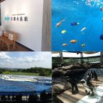 京都水族館（入り口、熱帯魚、イルカショー、ペンギン）