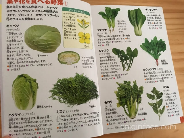 ハッピーセット図鑑「果物と果実」葉や花を食べる野菜