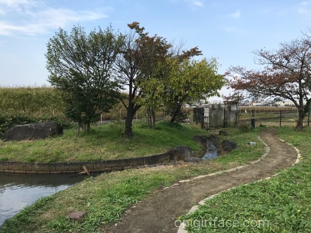 「西弓削公園」の芝生や河原