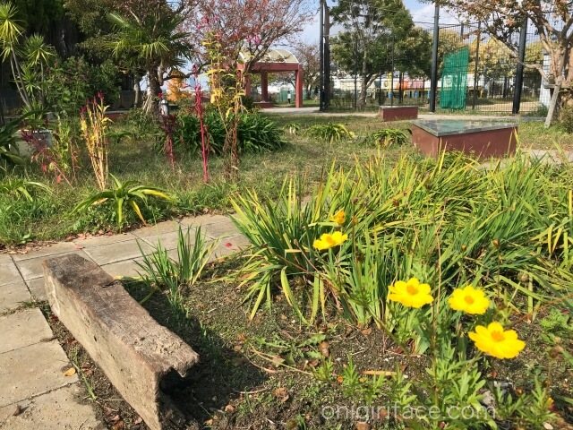 「西弓削公園」芝生と花壇