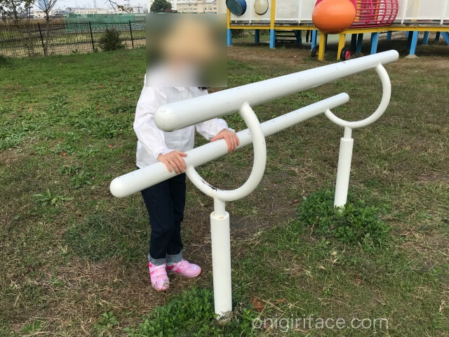 「西弓削公園」健康器具