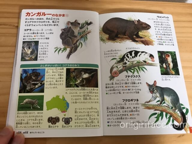 ハッピーセット図鑑「動物/コアラ・カンガルー編」