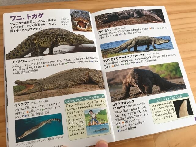 「ハッピーセット」の図鑑「危険生物（海外の動物・ヘビ）」ワニとトカゲのページ