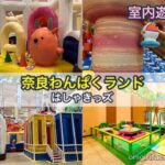 奈良わんぱくランドはしゃキッズの子供向け室内遊具