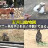 池田市「五月山動物園」はポニー乗馬やふれあい体験ができるよ