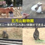 池田市「五月山動物園」はポニー乗馬やふれあい体験ができるよ