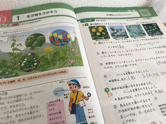 小学ポピー3年生「理科」を子供が学習した様子