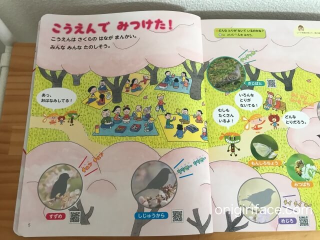 幼児ポピー年中「あかどり」の教材「わぁくん」季節の鳥