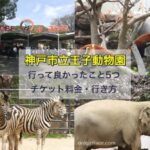 神戸市立王子動物園に行って良かったこと5つ。チケット料金や行き方も紹介