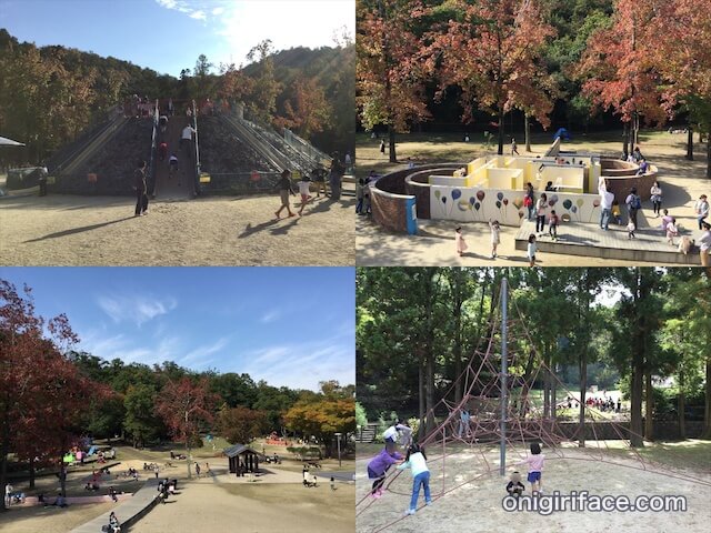 宝が池公園「子どもの森」