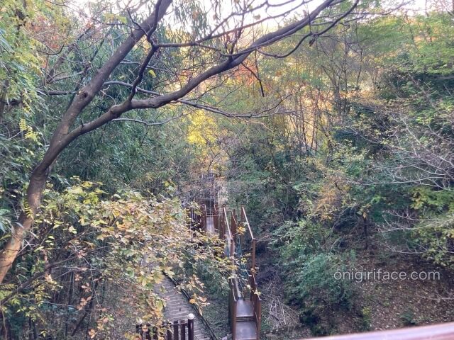 むろいけ園地の遊具「森の宝島」アスレチック