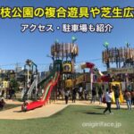 大枝公園の複合遊具や芝生広場で遊んできたよ。アクセス・駐車場も紹介