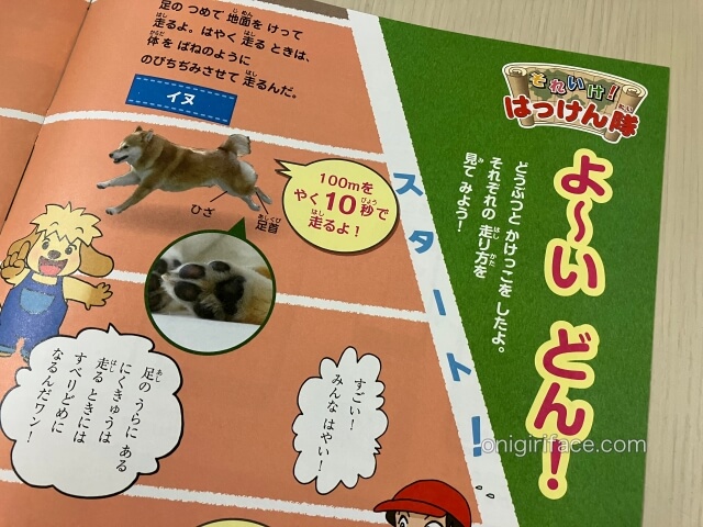 小学1ポピーの無料お試し教材「それいけ！発見隊」