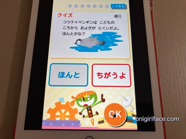 幼児ポピーのタブレット教材・デジタルコンテンツ「Webクイズ」