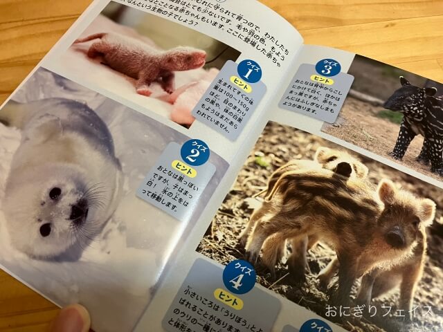 ハッピーセット図鑑「動物の赤ちゃん」パンダ、アザラシ、イノシシの赤ちゃん