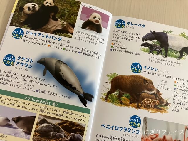 ハッピーセット図鑑「動物の赤ちゃん」パンダ、アザラシ、イノシシの赤ちゃん