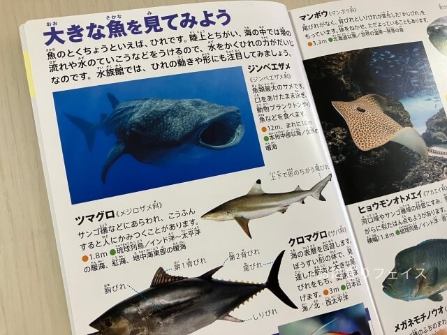 ハッピーセット図鑑「水族館にいこう」大きな魚（クジラ・イルカ）