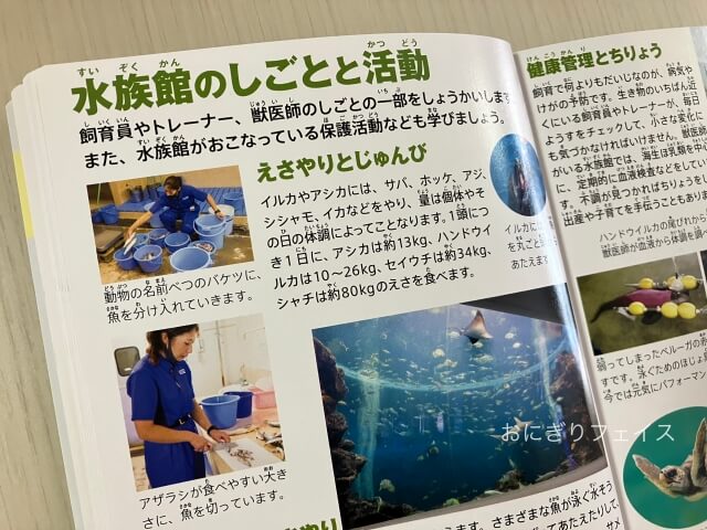 ハッピーセット図鑑「水族館にいこう」水族館の仕事と活動