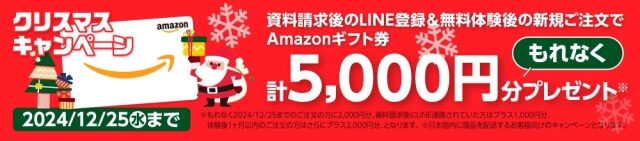 通信教材「天神」資料請求後のLINE登録＆無料体験後の新規注文でAmazonギフト券合計5,000円分プレゼントクリスマスキャンペーン（2024年11月-12月）